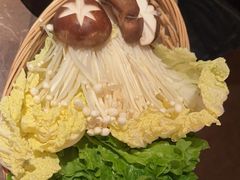 -同仁四季椰子鸡(罗湖国贸店)