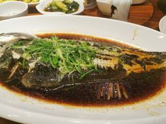 -顺德了能馆(虎门店)