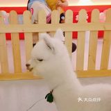 童趣王国空降北京荟聚——城南儿童乐园的巨无霸