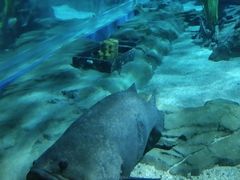 -锦艺城海洋馆