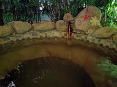 -三江森林温泉度假区