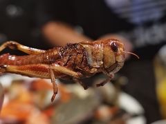 -川骄海鲜自助(河东店)