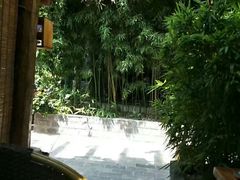 -慢丽江·云南野生菌土鸡锅(付家庄店)