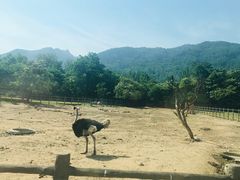 -西安秦岭野生动物园