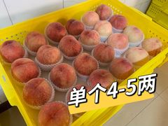 -老袁家蜜桃农场·阳山水蜜桃