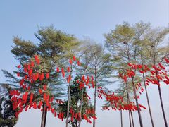 -深圳湾公园(南山区)