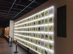 -广东中医药博物馆