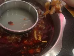 -重庆烧鸡公火锅(簋街店)