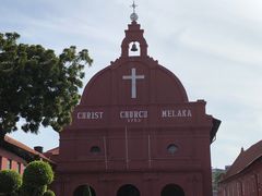 -荷兰红屋