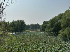 -北京麋鹿生态实验中心