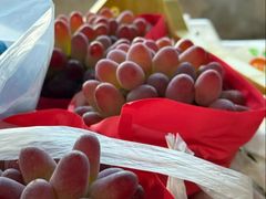 -马陆小张葡萄园农家乐