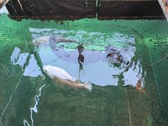 -蓝湾碧波·老字号·疍家非遗海上餐厅