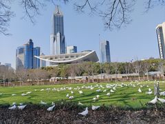 -上海博物馆(人民广场馆)