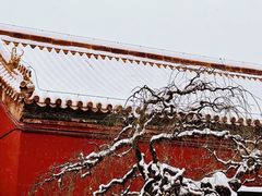 -雍和宫