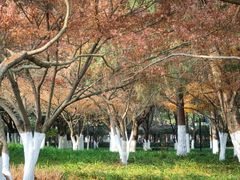-范蠡湖公园