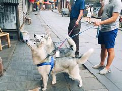 -重庆乌鱼庄·龙滋鲜(青羊大道店)