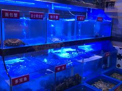 -小龍鳳·港式海鲜打边炉(沙湖路店)