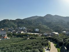 -四月宠物医院·猫专科·心脏专科·内科(转塘店)