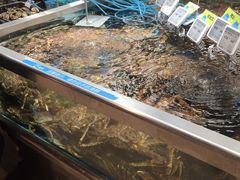 -盒马鲜生(大成店)