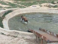 -青藏高原野生动物园