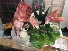 -一本钓鲔鱼屋