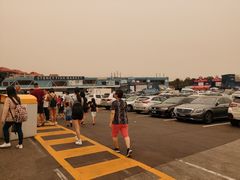 -悉尼鱼市场