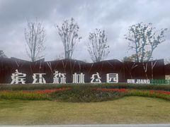 -上海滨江森林公园