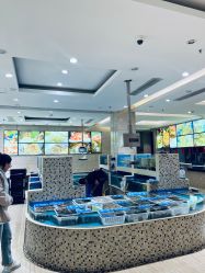 -双井轩·宴会厅