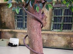 -天堂疯人院·沉浸式实景演绎密室