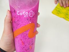 红果小姐姐-CoCo都可(中茵海华二店)