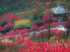 -桃花涧
