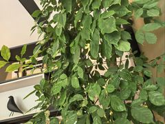 -如家酒店·neo(苏州拙政园狮子林店)