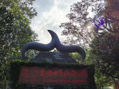 -海口火山口国家地质公园