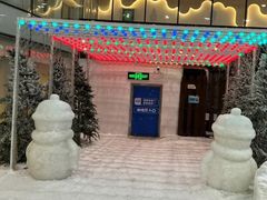 -世界之窗阿尔卑斯冰雪世界