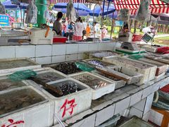 -外伶仃岛海鲜市场