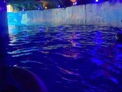 -青岛东方影都融创水世界