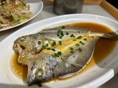 -华盛丰温州大排档(东三环南路店)