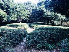 -天目湖山水园