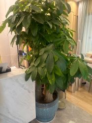 -香港倾城国际·美容美体中心