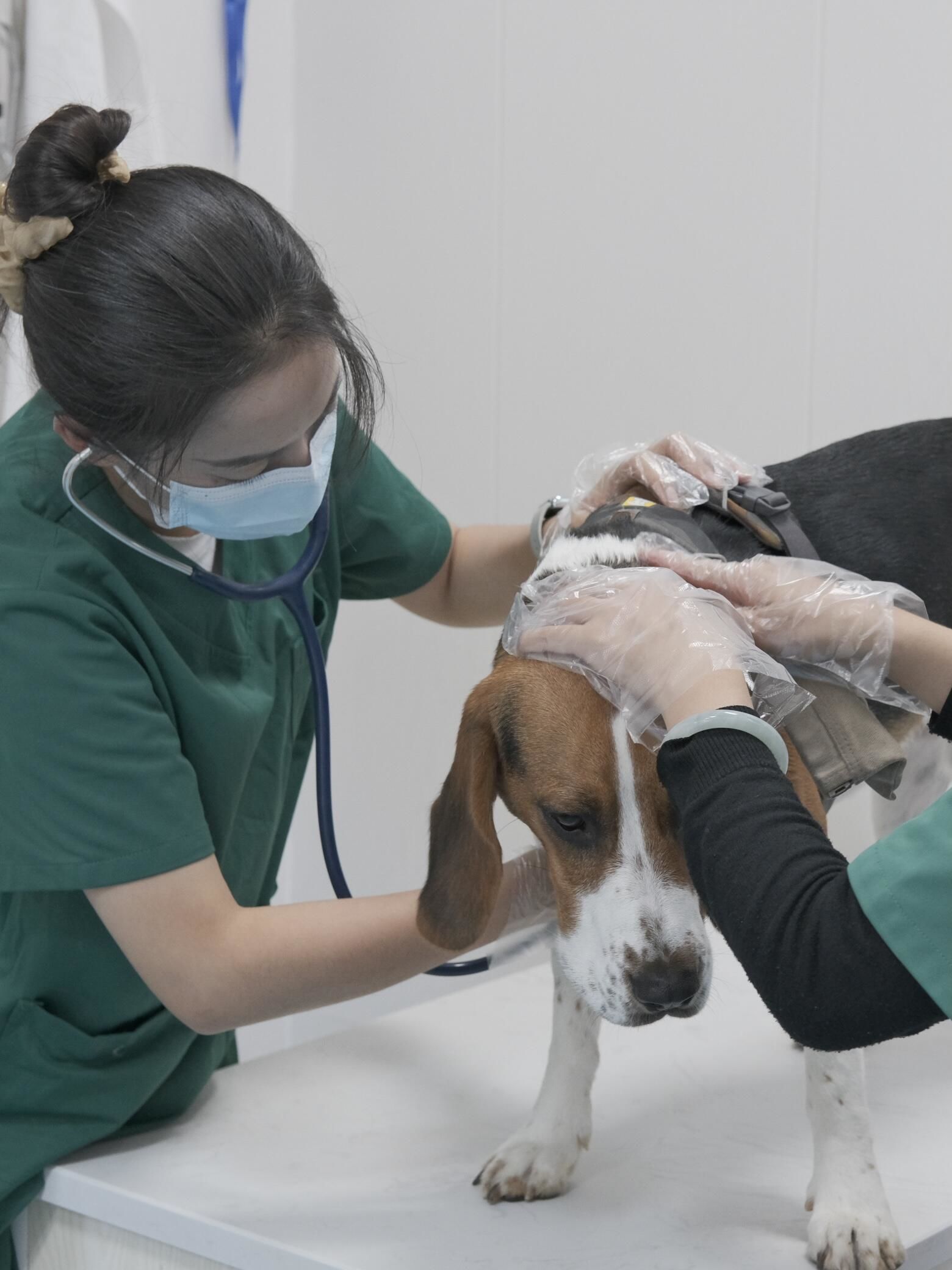 医生姐姐看到彪彪有点紧张,确认了我的时间比较充足后,先花了一些时间