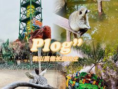 -长鹿旅游休博园