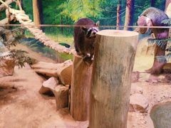 -正佳雨林生态植物园