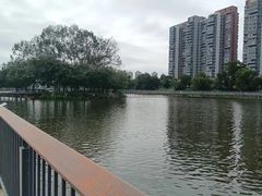 -大屏嶂森林公园