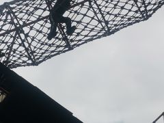 -中国福利会少年宫