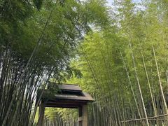 -苏州环秀晓筑养生度假村