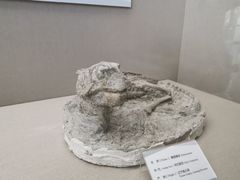 -房山世界地质公园博物馆
