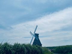 -宁波杭州湾国家湿地公园