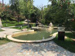 -思念果岭悦温泉