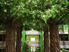 -武清南湖绿博园