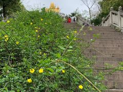 -苏州上方山国家森林公园